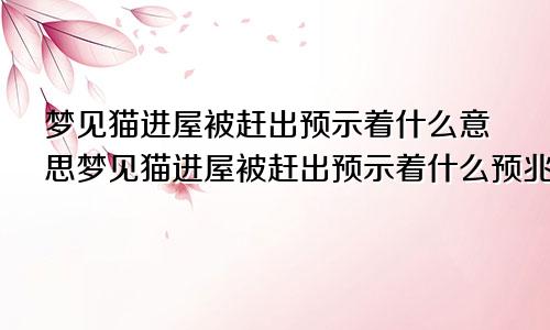 梦见猫进屋被赶出预示着什么意思梦见猫进屋被赶出预示着什么预兆