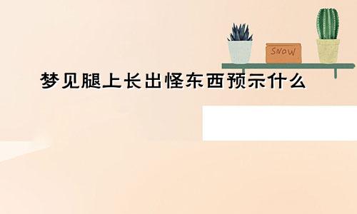 梦见腿上长出怪东西预示什么