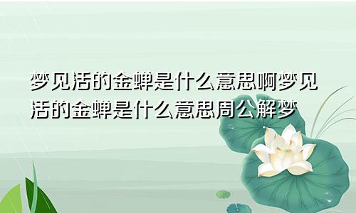 梦见活的金蝉是什么意思啊梦见活的金蝉是什么意思周公解梦