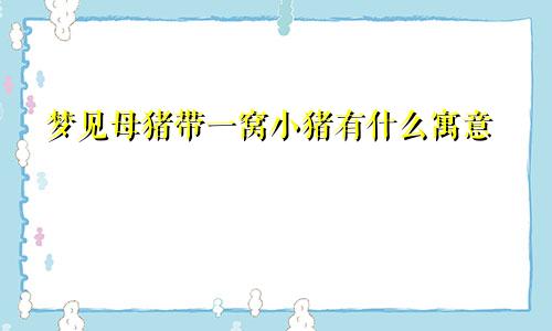 梦见母猪带一窝小猪有什么寓意