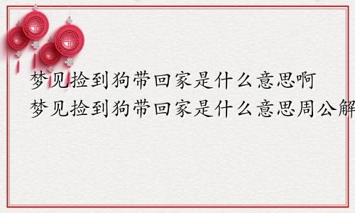 梦见捡到狗带回家是什么意思啊梦见捡到狗带回家是什么意思周公解梦