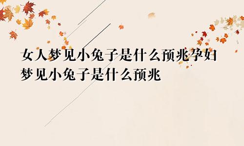 女人梦见小兔子是什么预兆孕妇梦见小兔子是什么预兆