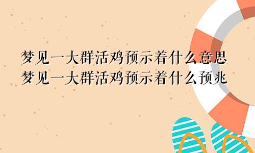 梦见一大群活鸡预示着什么意思梦见一大群活鸡预示着什么预兆