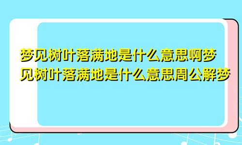 梦见树叶落满地是什么意思啊梦见树叶落满地是什么意思周公解梦