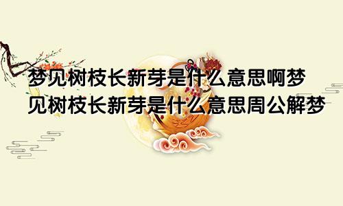 梦见树枝长新芽是什么意思啊梦见树枝长新芽是什么意思周公解梦