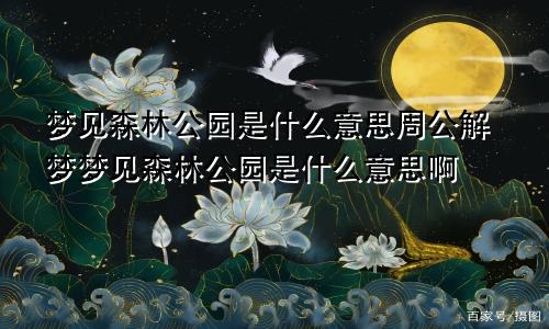 梦见森林公园是什么意思周公解梦梦见森林公园是什么意思啊