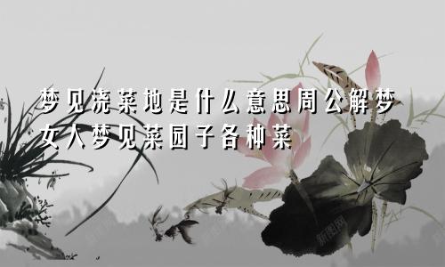 梦见浇菜地是什么意思周公解梦女人梦见菜园子各种菜