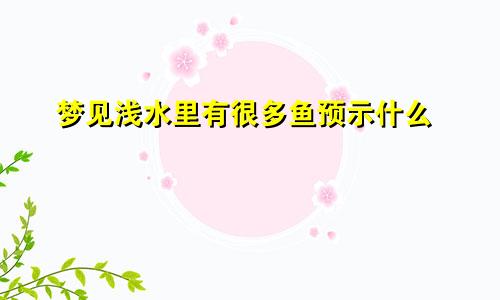 梦见浅水里有很多鱼预示什么