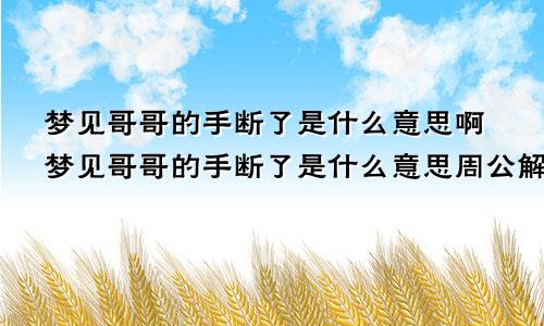 梦见哥哥的手断了是什么意思啊梦见哥哥的手断了是什么意思周公解梦