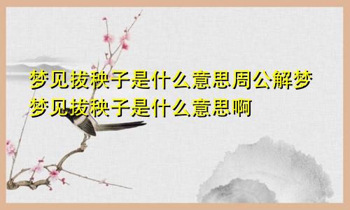 梦见拔秧子是什么意思周公解梦梦见拔秧子是什么意思啊