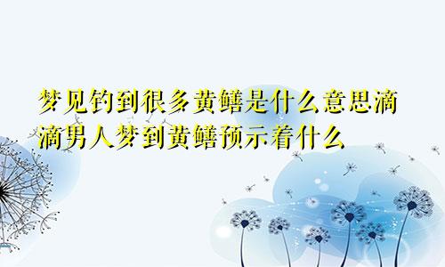 梦见钓到很多黄鳝是什么意思滴滴男人梦到黄鳝预示着什么