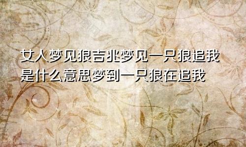 女人梦见狼吉兆梦见一只狼追我是什么意思梦到一只狼在追我