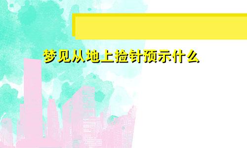 梦见从地上捡针预示什么