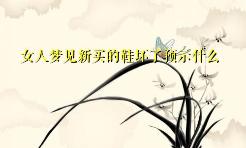 女人梦见新买的鞋坏了预示什么