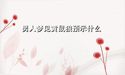 男人梦见黄鼠狼预示什么