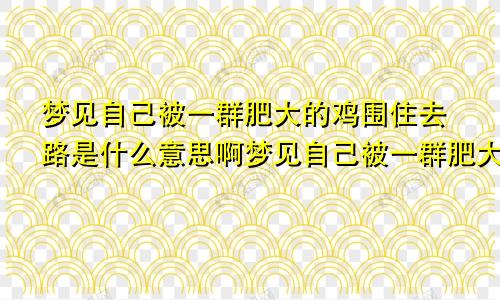 梦见自己被一群肥大的鸡围住去路是什么意思啊梦见自己被一群肥大的鸡围住去路是什么意思呀