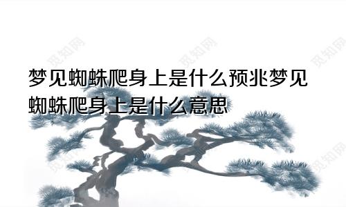 梦见蜘蛛爬身上是什么预兆梦见蜘蛛爬身上是什么意思