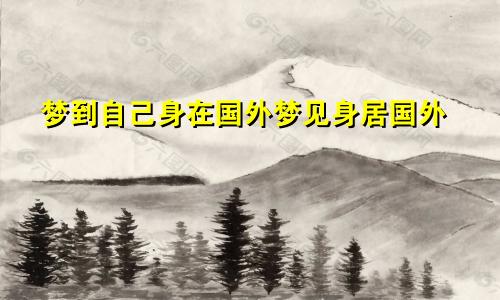 梦到自己身在国外梦见身居国外