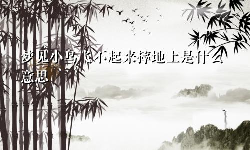 梦见小鸟飞不起来摔地上是什么意思