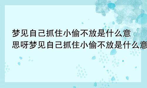 梦见自己抓住小偷不放是什么意思呀梦见自己抓住小偷不放是什么意思呢