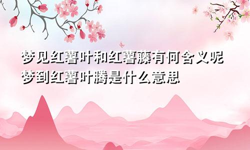 梦见红薯叶和红薯藤有何含义呢梦到红薯叶腾是什么意思