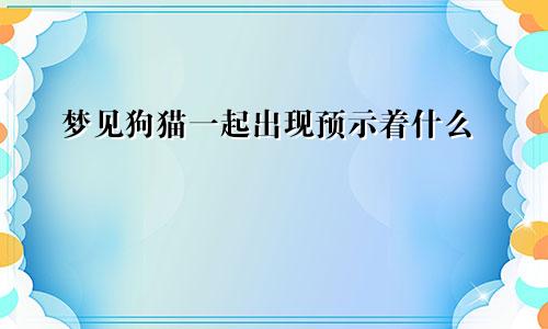 梦见狗猫一起出现预示着什么