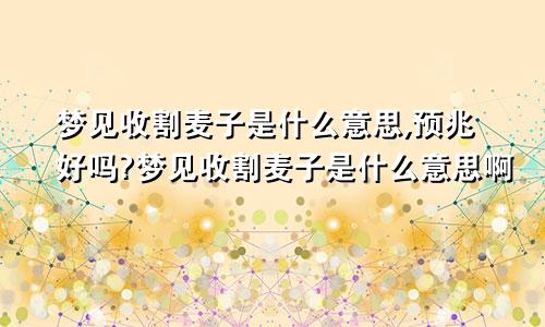 梦见收割麦子是什么意思,预兆好吗?梦见收割麦子是什么意思啊