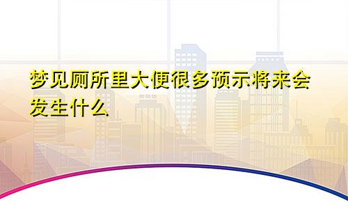 梦见厕所里大便很多预示将来会发生什么