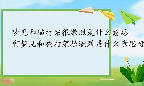 梦见和猫打架很激烈是什么意思啊梦见和猫打架很激烈是什么意思呀