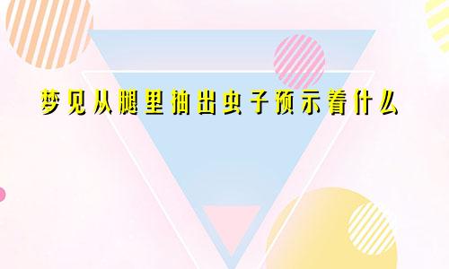 梦见从腿里抽出虫子预示着什么