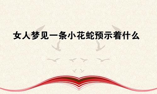 女人梦见一条小花蛇预示着什么