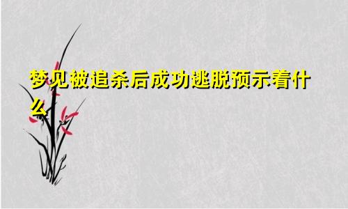 梦见被追杀后成功逃脱预示着什么