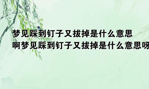 梦见踩到钉子又拔掉是什么意思啊梦见踩到钉子又拔掉是什么意思呀