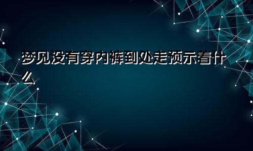 梦见没有穿内裤到处走预示着什么