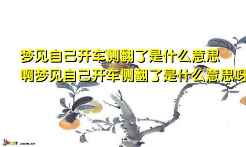 梦见自己开车侧翻了是什么意思啊梦见自己开车侧翻了是什么意思呀