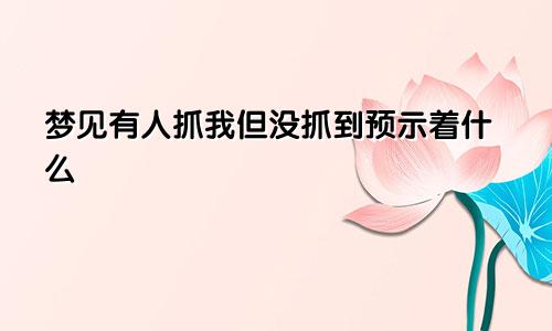 梦见有人抓我但没抓到预示着什么