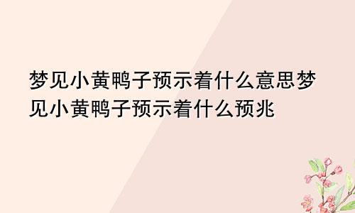 梦见小黄鸭子预示着什么意思梦见小黄鸭子预示着什么预兆