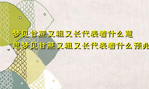 梦见甘蔗又粗又长代表着什么意思梦见甘蔗又粗又长代表着什么预兆