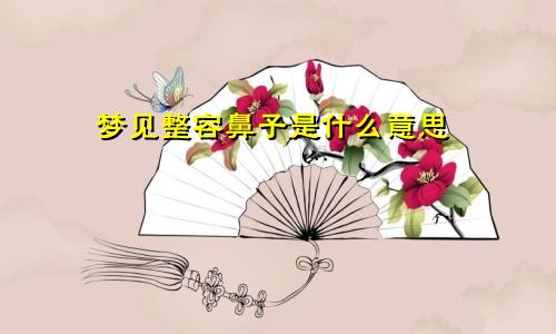 梦见整容鼻子是什么意思