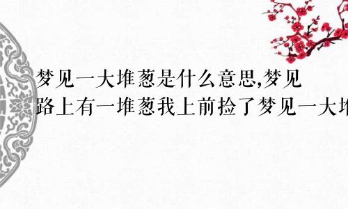 梦见一大堆葱是什么意思,梦见路上有一堆葱我上前捡了梦见一大堆葱是什么意思周公解梦