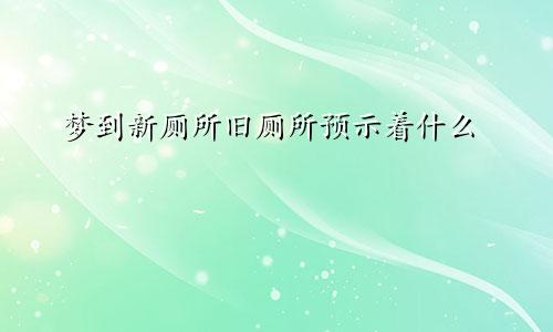 梦到新厕所旧厕所预示着什么