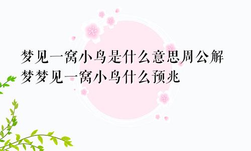 梦见一窝小鸟是什么意思周公解梦梦见一窝小鸟什么预兆