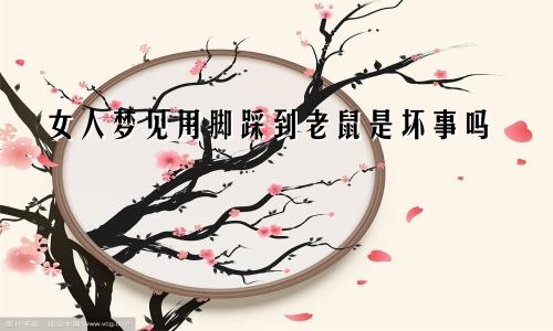 女人梦见用脚踩到老鼠是坏事吗