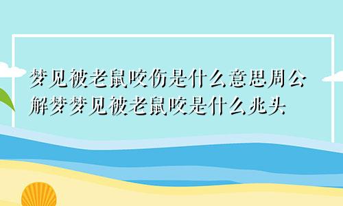 梦见被老鼠咬伤是什么意思周公解梦梦见被老鼠咬是什么兆头