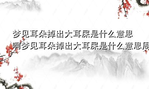 梦见耳朵掉出大耳屎是什么意思啊梦见耳朵掉出大耳屎是什么意思周公解梦