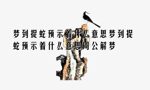 梦到捉蛇预示着什么意思梦到捉蛇预示着什么意思周公解梦