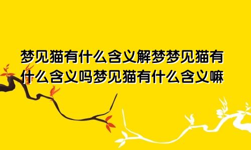 梦见猫有什么含义解梦梦见猫有什么含义吗梦见猫有什么含义嘛