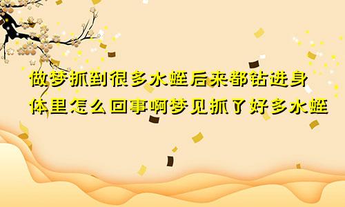 做梦抓到很多水蛭后来都钻进身体里怎么回事啊梦见抓了好多水蛭