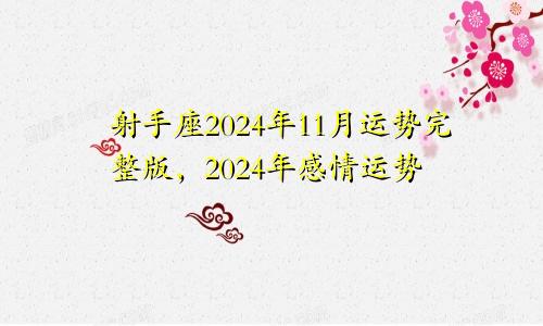 射手座2024年11月运势完整版，2024年感情运势