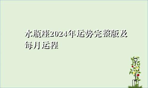 水瓶座2024年运势完整版及每月运程